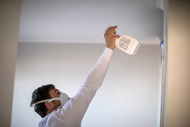 Best Mold Cleaning Services  in San Rlos, CA