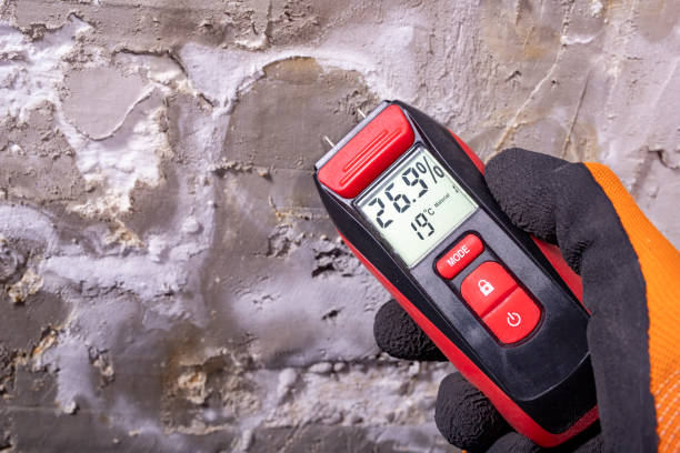 Best Local Mold Removal Service  in San Rlos, CA