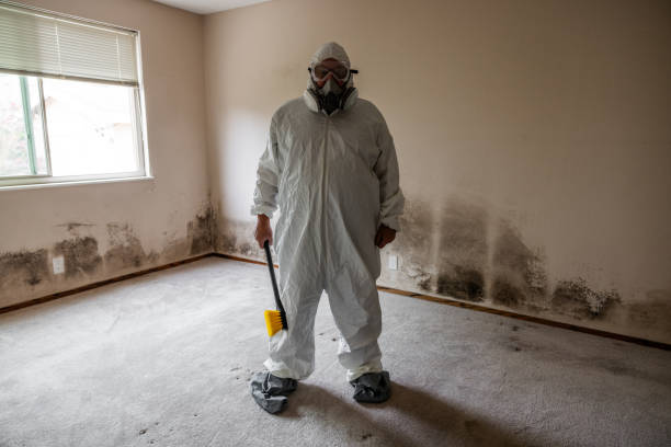 Water Damage Restoration in San Carlos, CA