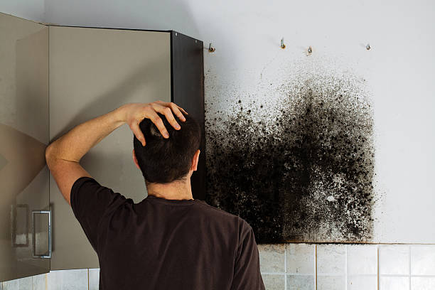 Best Crawl Space Mold Removal  in San Rlos, CA